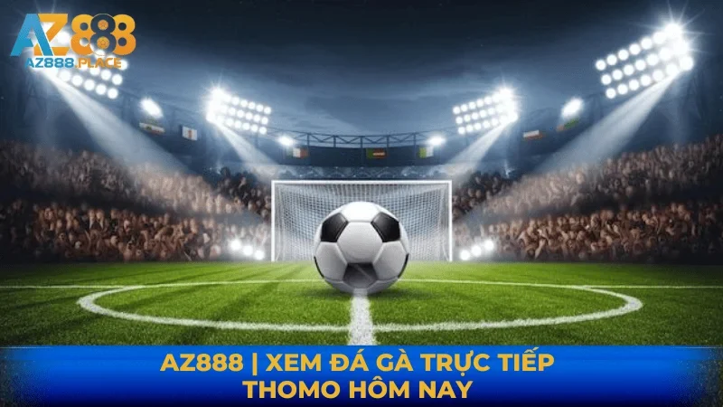 AZ888 | XEM ĐÁ GÀ TRỰC TIẾP THOMO HÔM NAY 