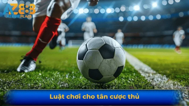 Luật chơi cho tân cược thủ