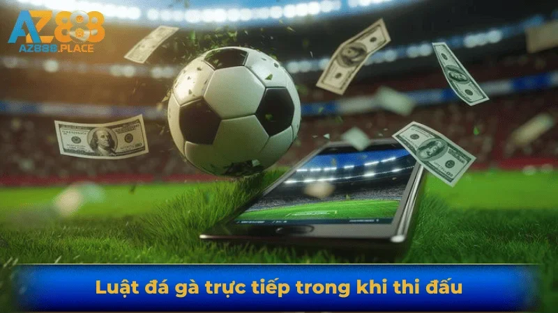 Luật đá gà trực tiếp trong khi thi đấu