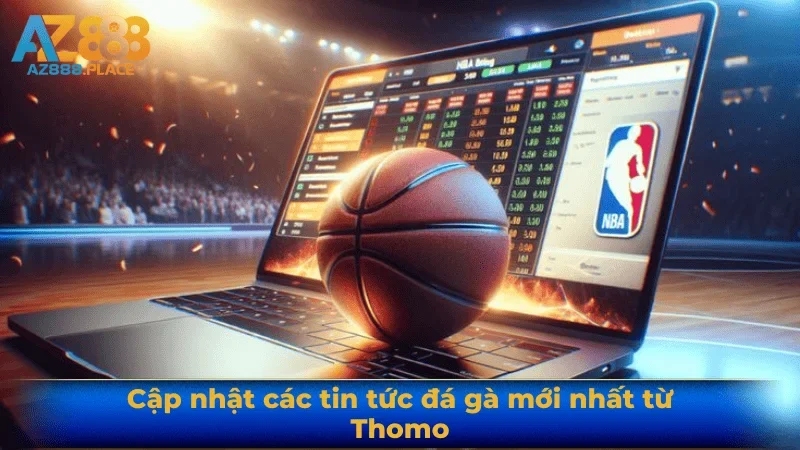 Cập nhật các tin tức đá gà mới nhất từ Thomo